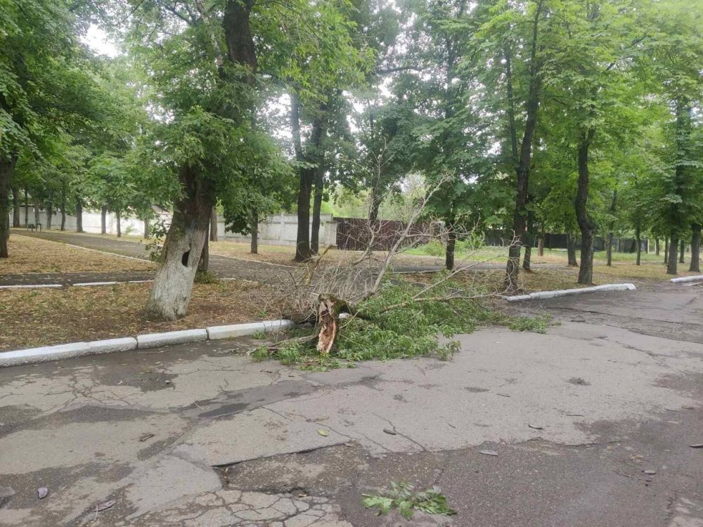 ����� �������� �����������, � ����� ������ ����� ��������