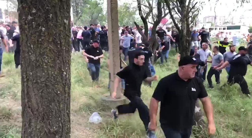 � ������ ���������� ��������������� �������� Alt-Info ������� ����-��������� Tbilisi Pride Fest