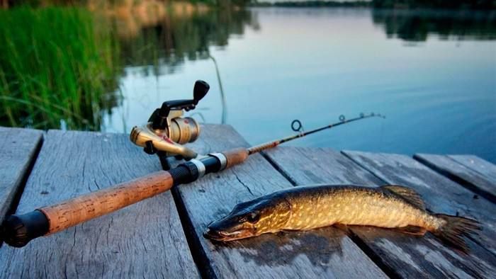 9 ���� - ���� ������.. ����������� ���� ���������� � ������� ������� �� ����: ����� ������� �� ����������� ������� ���� ��� 212,28 ��