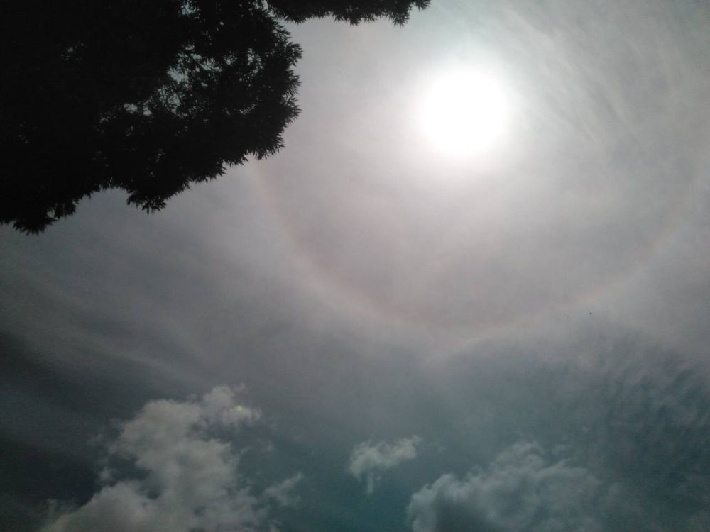 ������� �� ���� ����������� �������� ����������� ������� � ��������� ����