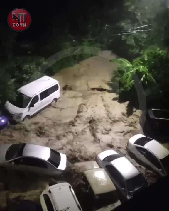 �� ���� ��������� ������� ������