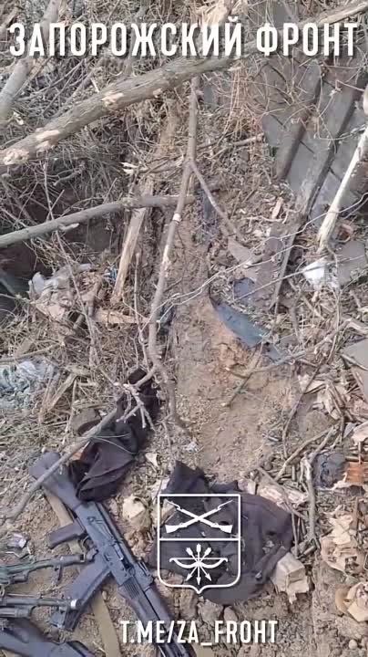 ����������� �����������. ���������� ������� ������� �������� ������ � ����. ����� �������, �������� ��������