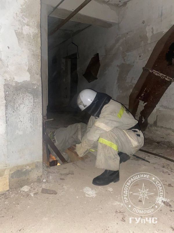 �����: ���� ����� ������ ������