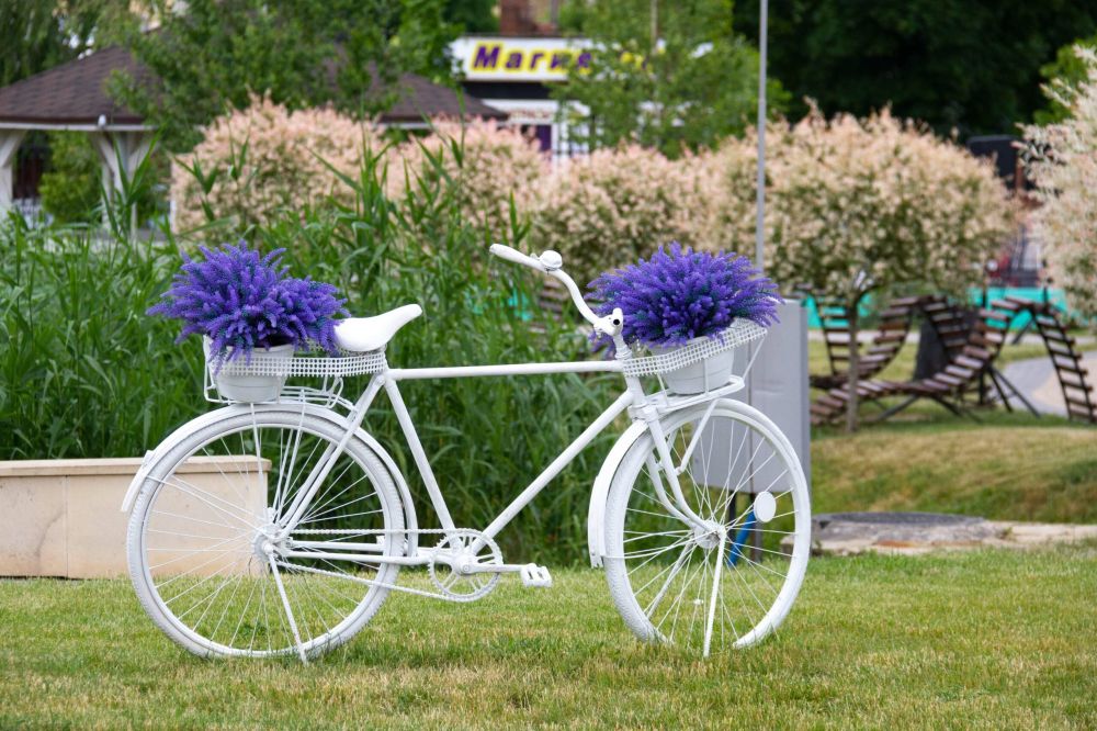 ��������� ����������� � ������� �������� ������ ����������� �������� ����, ������ ������ ����� ������ ���������, � ������ ��������� ������ ���������� �����������