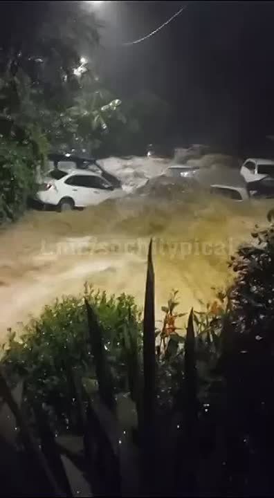 ��������� ������ ����� � ����