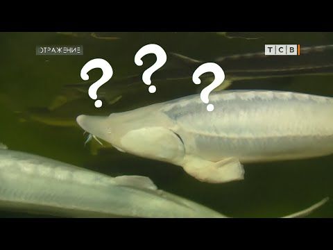 ������� ��������� ���� ����� ������ ��������� ����� ������ �� ����� ����� ���������� �������� � ����������� �� ��������....