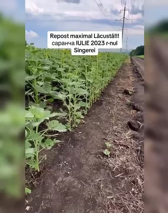 � ������� ��������� �������: ���������� ���� � �������������� � �������, ��� � 2 ����� �� ���������