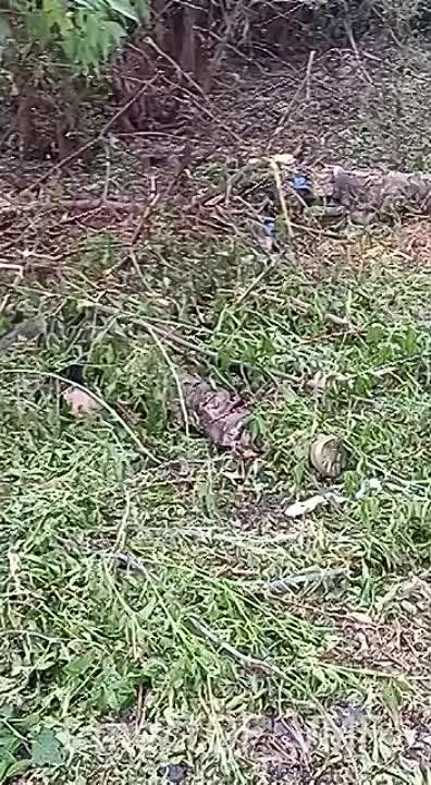 ������ ����� ����������� ����������� ��������� � ���������