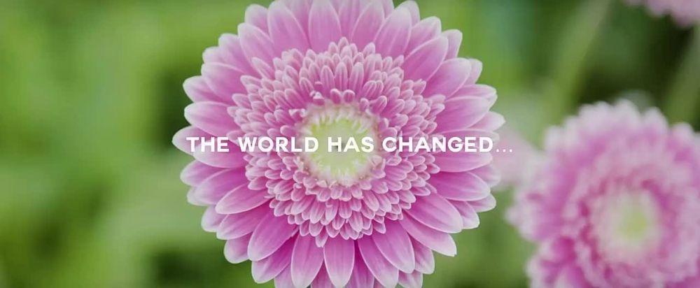 ����������� �������� ��������� ����-�����, ������� ������� ���������-����������