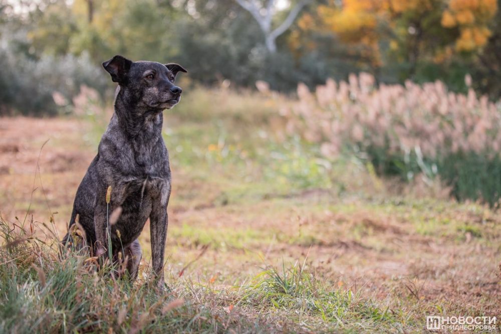 10 ������� ��������� ����� �� ����� ���������������� �� ��������� ����� � ���������