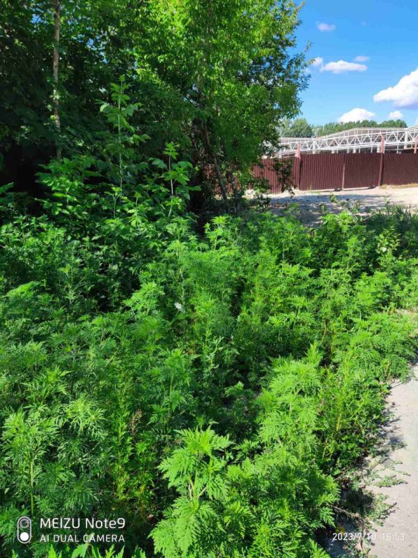 � ���� ��������� ������� �������� � ������� �� ���������