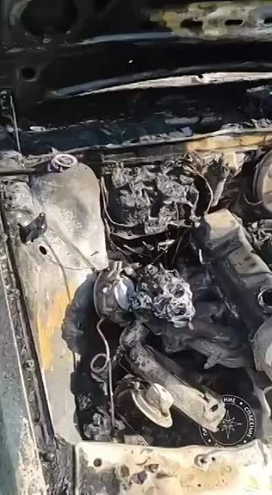 ������������� ������ ���������