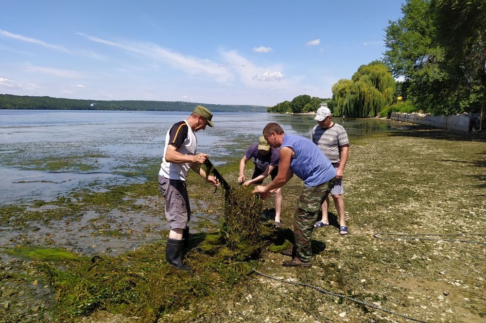 ���� � ������� � ���������� ������� �� ����������