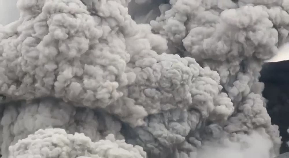 ������ ����� �� ������� ����� �������� �����