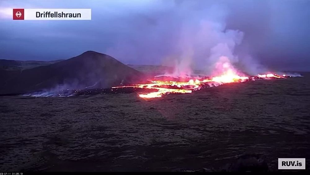 �������� ��������� ���������� ������� ���������������� � ��������, �������������� � 40 �� �� ������� ������ ����������, � ���