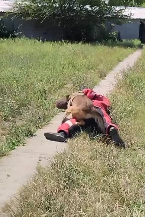 ������� �� ���������! ����������� ������� �� ����������������� ������� ����������� ������ �����������