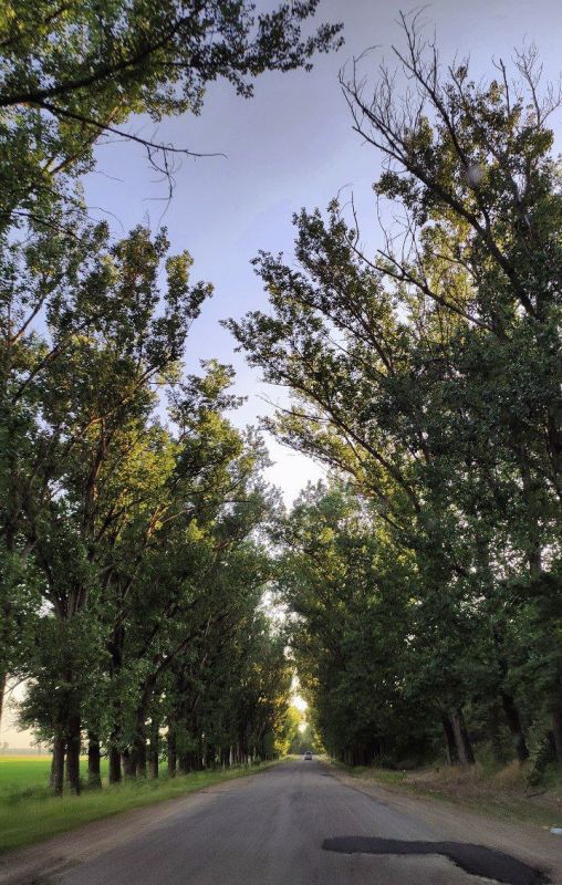 ���-�� � ���������������� ������