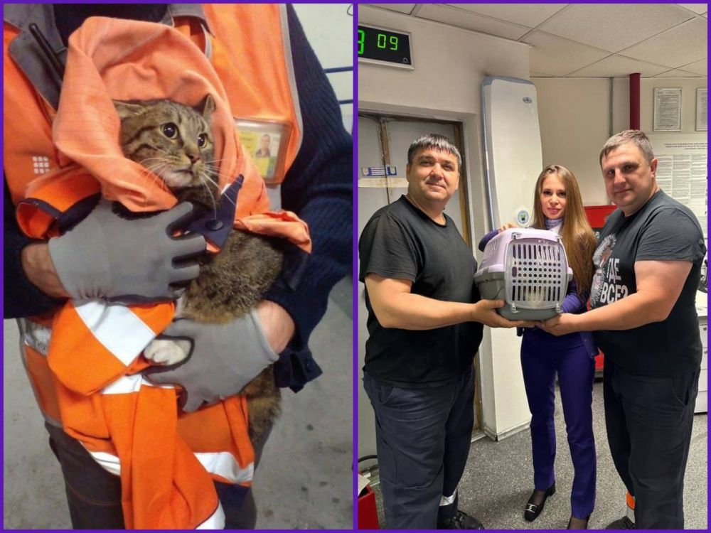 � ��������� ������� ����� ����, ������� ��������� ������ �����