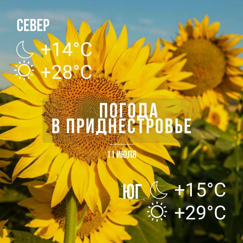 ������� ������ ��������������� ������� � ��