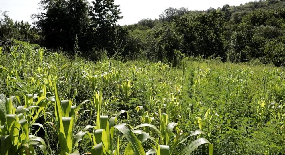 �������� ����� ���� � ��������� ���� ������� ������� ������