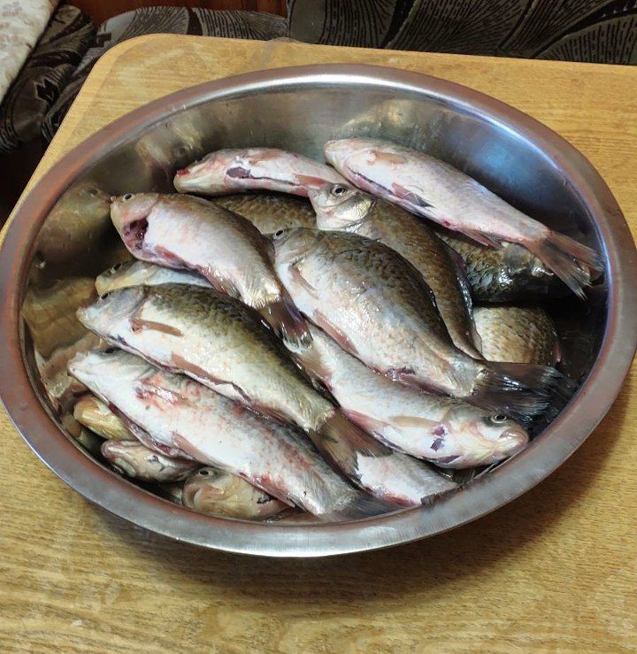 � ��� ����������� �������� ���� ������