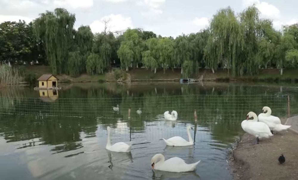 ������� ������. �������, 12 ����, ��������� ���������� ����������, ����� ������� ��������������� �����