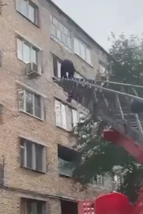 ���� �����. ��� ��� ������ �� ����, ��������� � � ���� ��� ��������. ������ ���� ����� �� �������