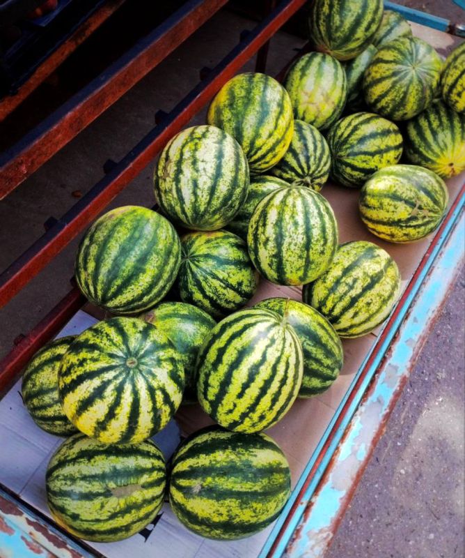 ������ ��������������� ������