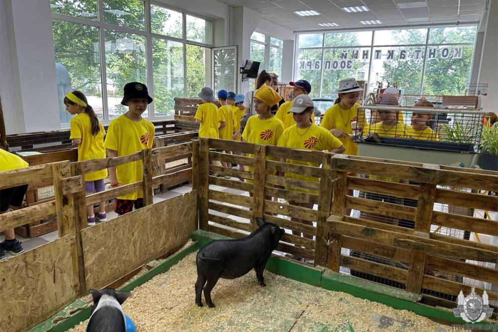 ������, ���������� � ������ "������" ������� ������� ����� � ��������� ���������� ��������, �������� ��� ���