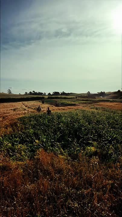 � ������� ���������� ���� ������ ������ ������ ����� �������� � ������������ �������, ����� ���� ������ �������� �� ���������