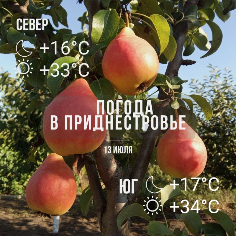 ������� �� ����?. ������� - +34.