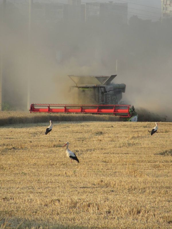 �������������. ����� ����� � ��������� �� ����� ������.