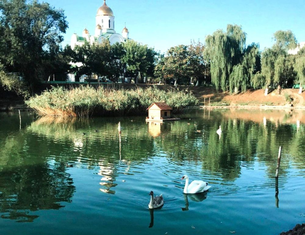 ���������. �������������� ����