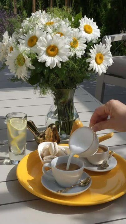 ������ ����!