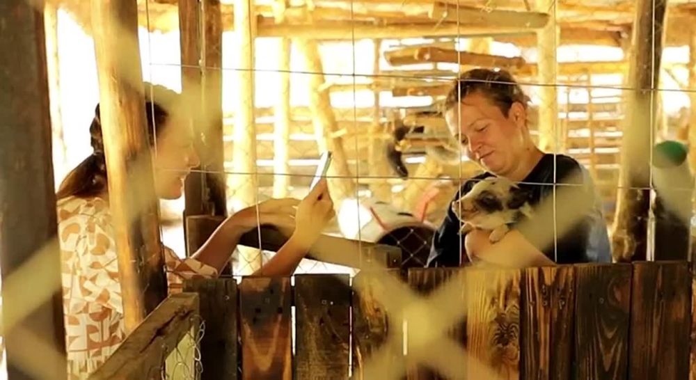 �������� �� ������. �� ��������� � ����������� ����� ���� ���. ����� ������� ���� ���