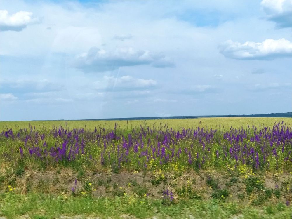 ���� �� ���������. ������ � ����������� +34 � ���� ������� ������� ����� � �������