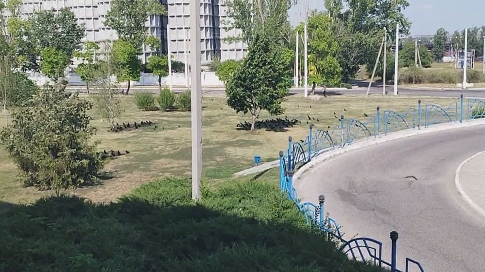 ������� � ������ � �������������