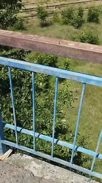 �� ����������� � �������� ������ �� ���������� ����� ����� �������