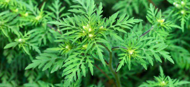 ���������� ��� ������� ���������������� ���� � ����� ���������� ������