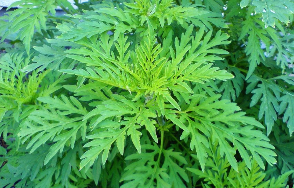 ��������� 834 ������������ �� ��������� ��������