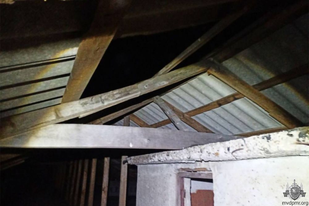 15-������ ��������� ���� � ����� 4-�������� ������ � ��������