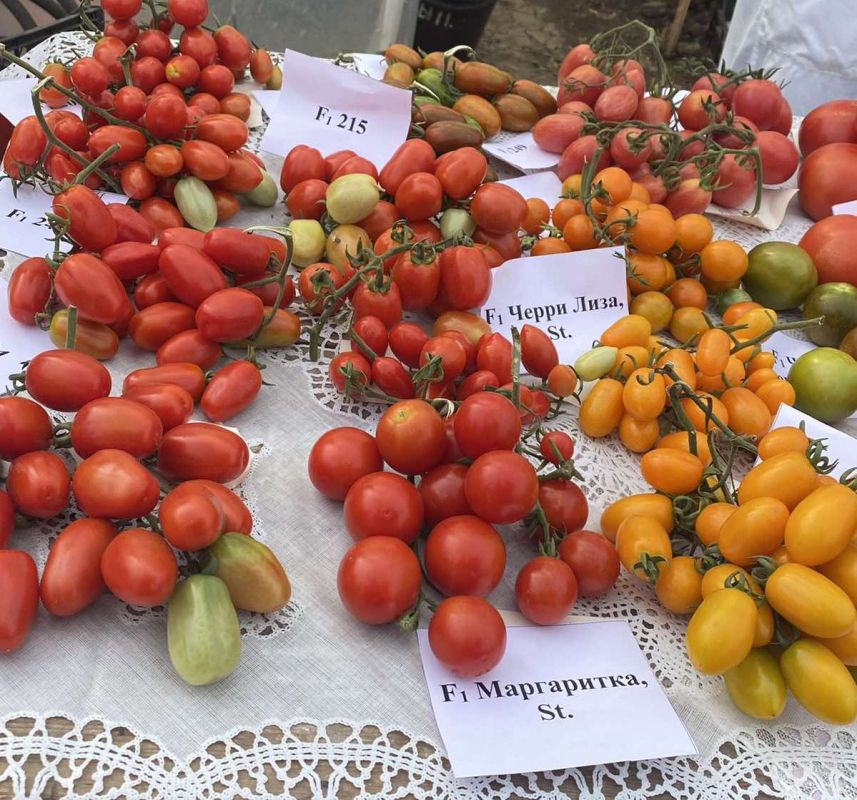 ������ ��� ��������� ��������� �������� ����� ������� �������