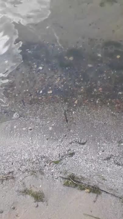 ������� ���� � ������� �� ������� ������������ ��� ������ ����