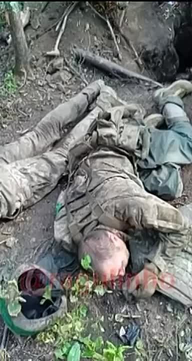 ����� ���������� ����� ����� � ���� ��� ���������� �������