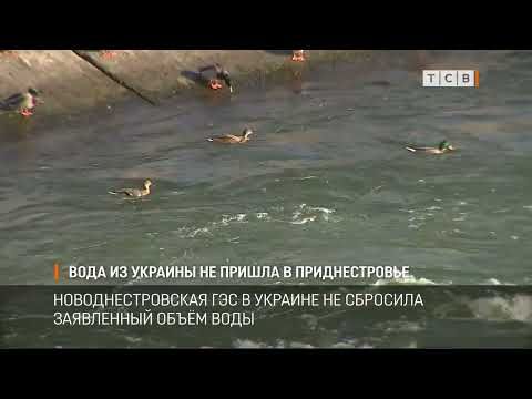 ������� ���� � ������������ ��� ���� ���, ��� ����� ���������. ����� ���� ������� ����� ����������� ��������������� �������....