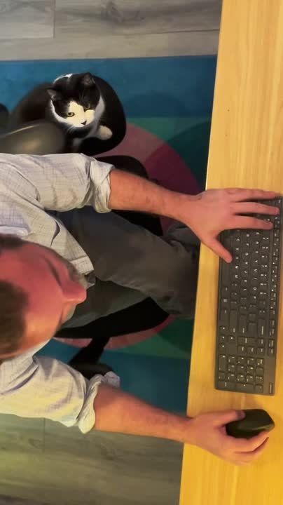 ���������� �������� ��������� ������ SideCat � �������������