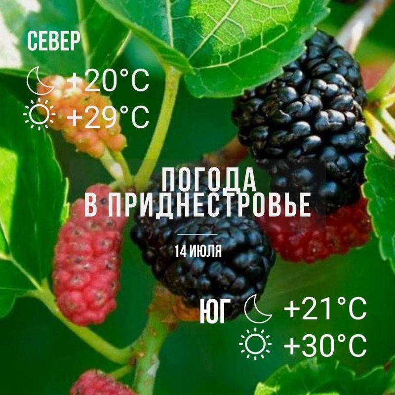 ���� �������� �������: ���� ������ ���� ������, ���� � ���� - �������