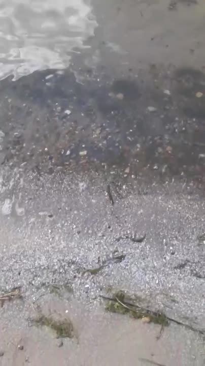 ������� ������� � ������������ ��� ������ ����