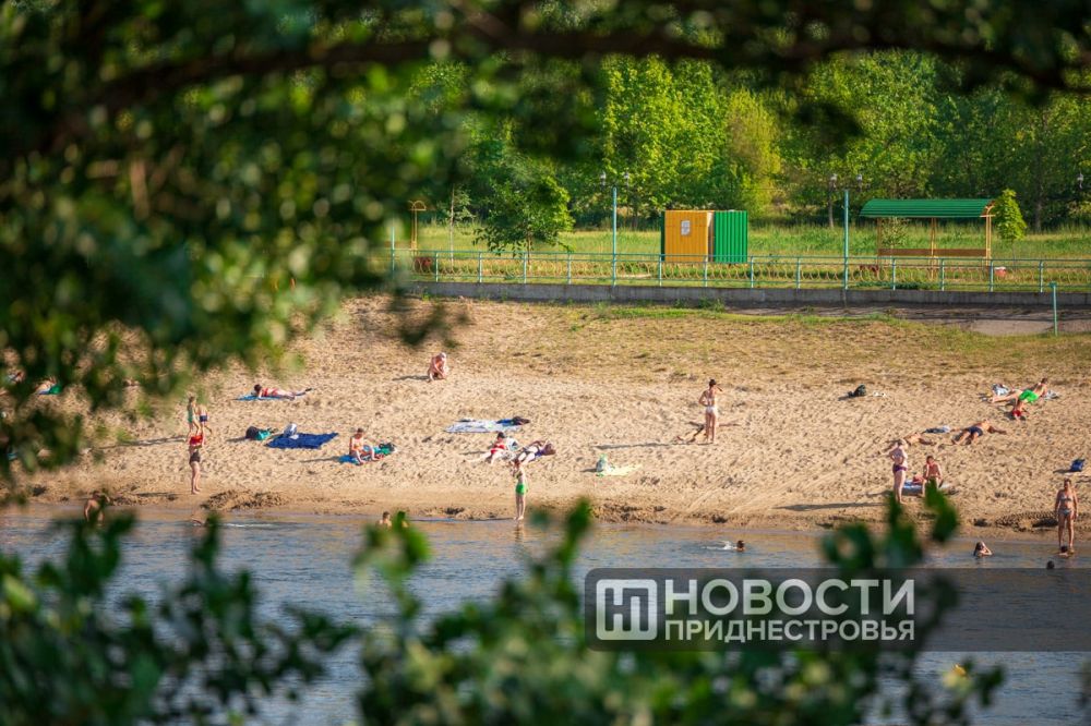 ������ ���������� � ���������