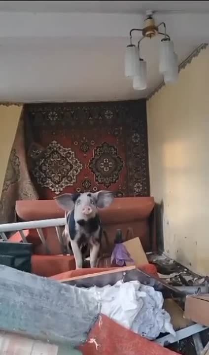 �������� ������ �� ����� �� ������� � ����������� �����.